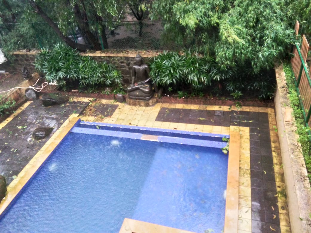 BNR235929502